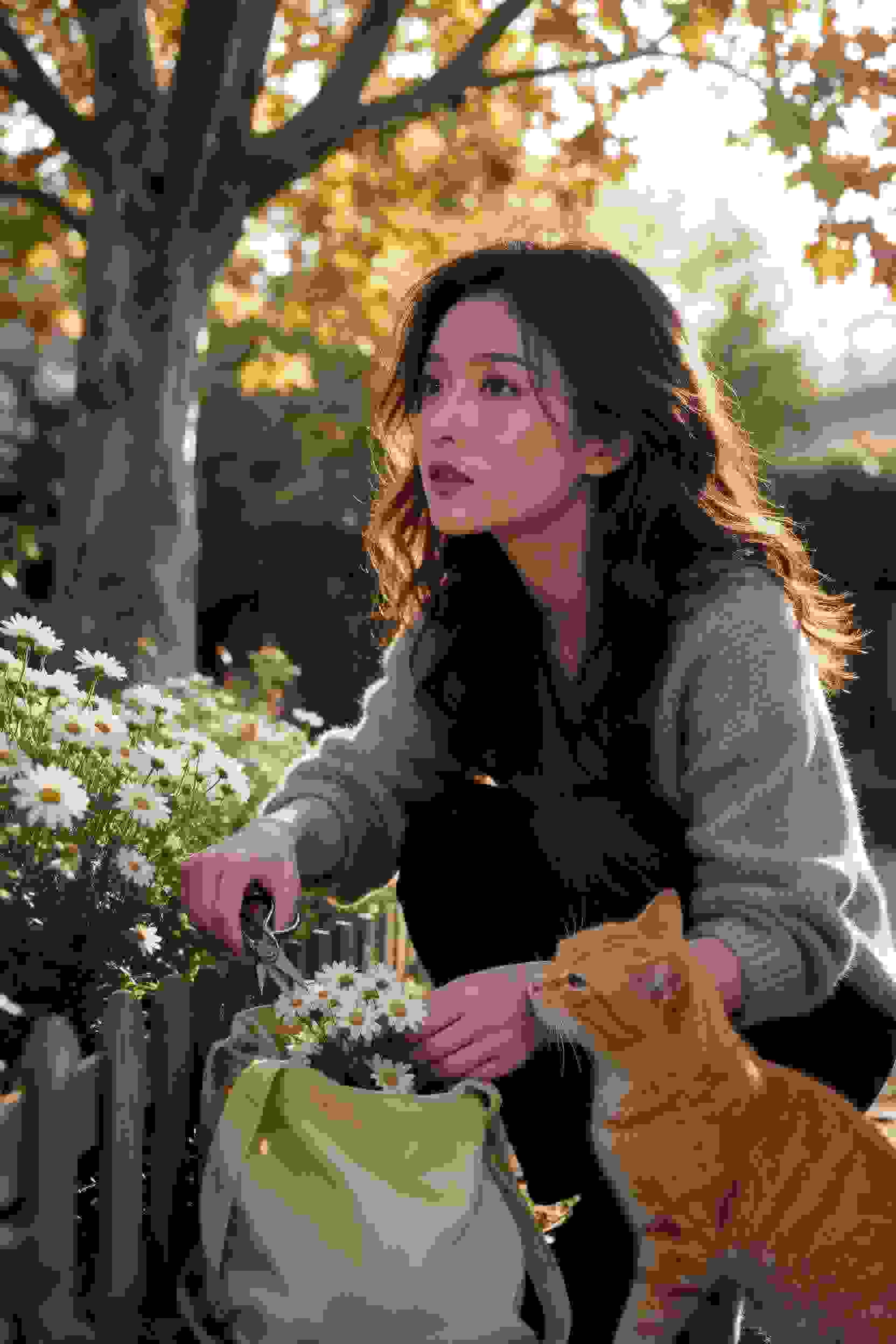 短剧《我的老板是千金》封面