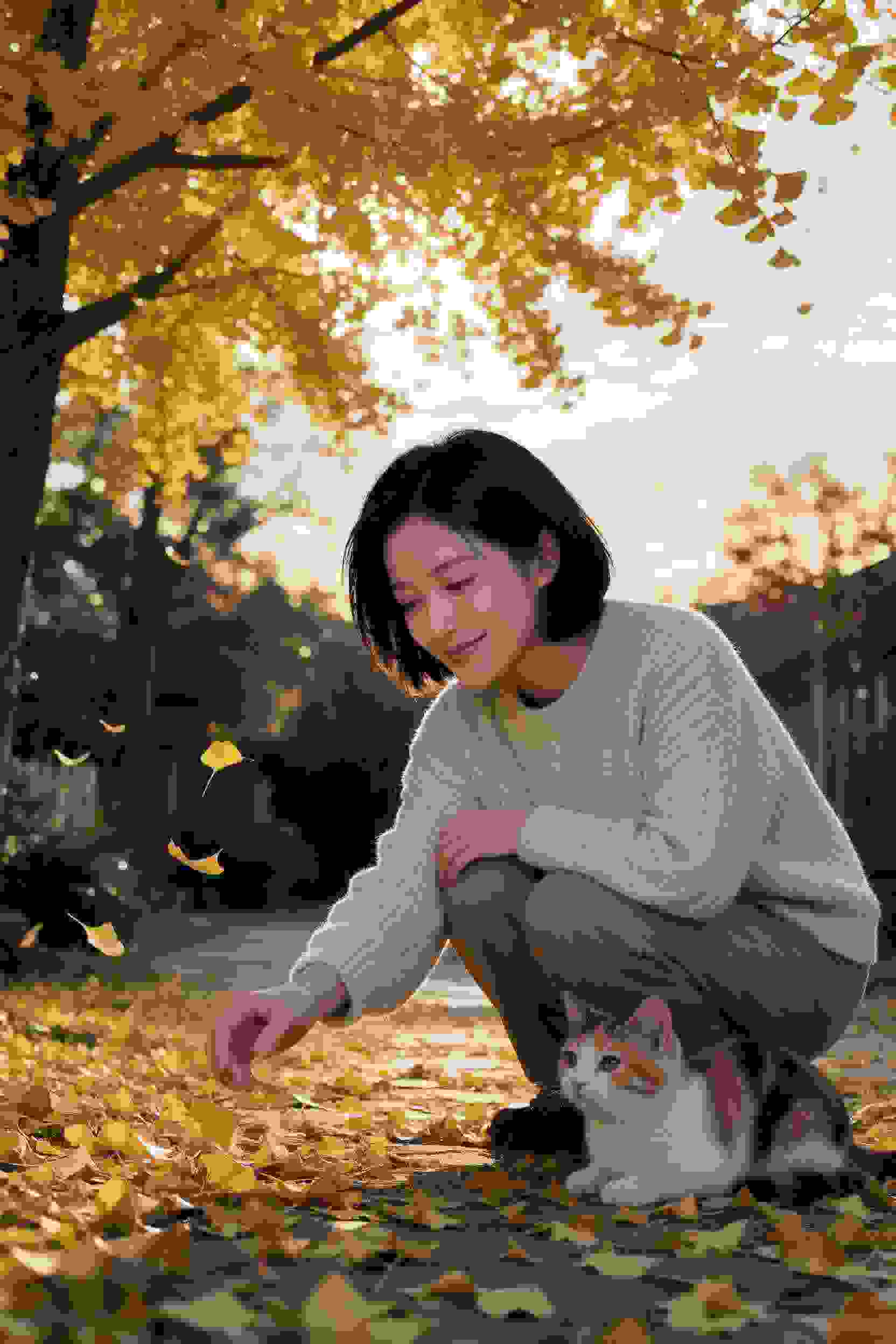 短剧《妻子的反击》封面